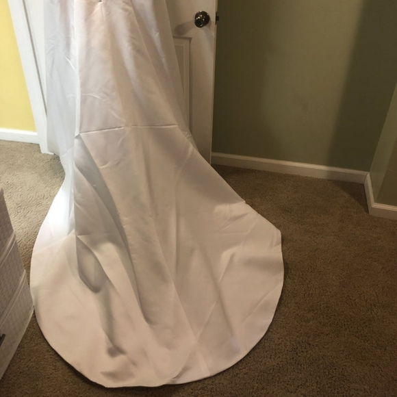 Gorgeous David's Bridal wedding gown, size 18W. - Picture 4 of 8